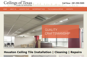 Ceiling Of Texas Website Design