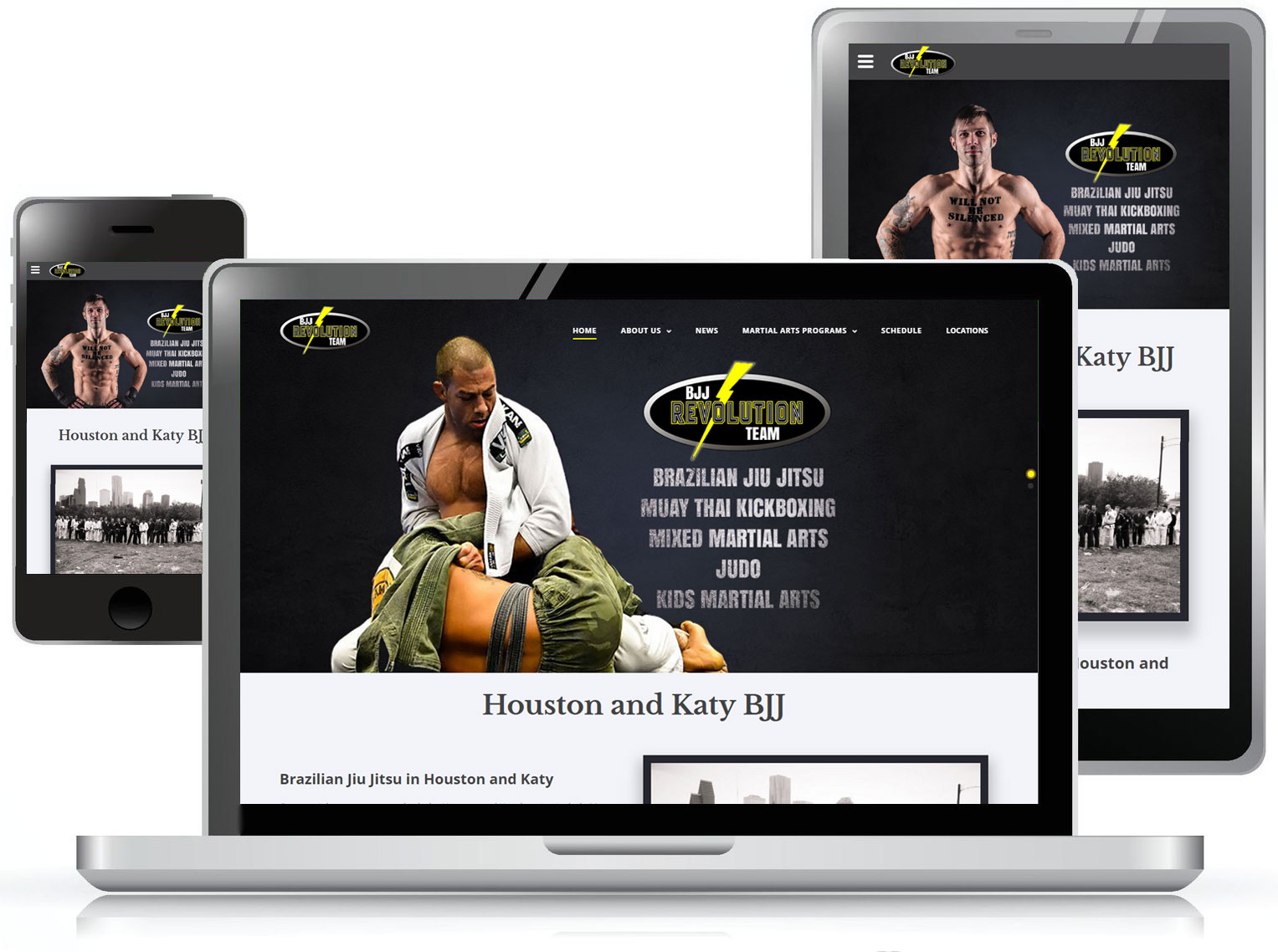 Revolution Dojo Web Design